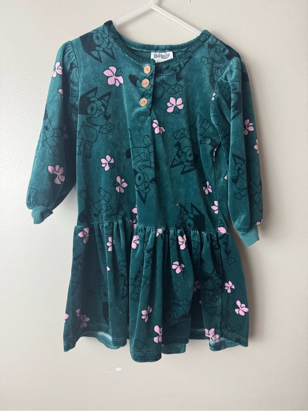 Girls Bluey Green Velvet Floral Dress 3T